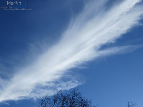 Cirrus spissatus vertebratus