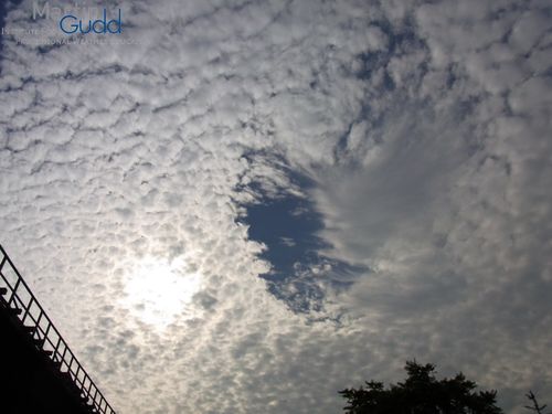 Weiteres Beispiel von Altocumulus stratiformis translucidus cavum (Fallstreak hole)