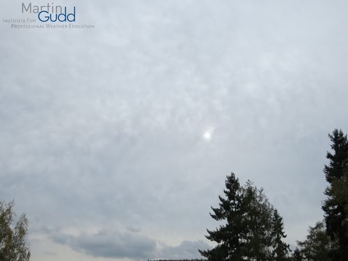 Typischer dünner Altostratus mit Fallstreifen